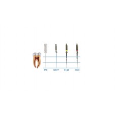 SANI ROTARY FILE